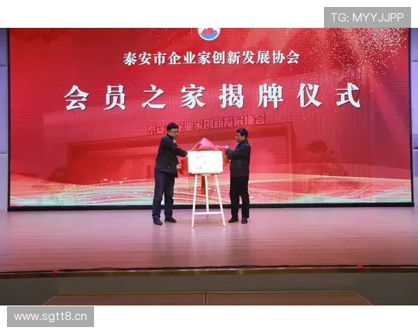 企业家精神与经济发展：创新驱动与市场变革的协同作用分析